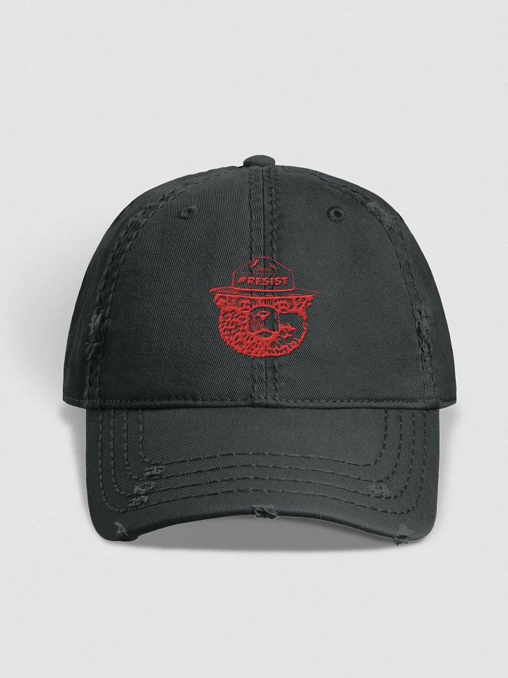 Smokey RESIST BEAR Distressed Hat (Dark) Alt National Parks Cap product image (1)