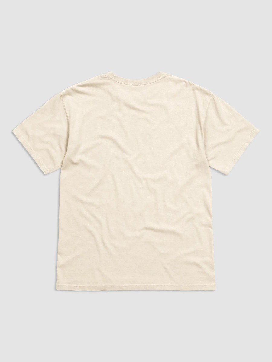 Unity in Diversity Heavyweight T-Shirt product image (6)