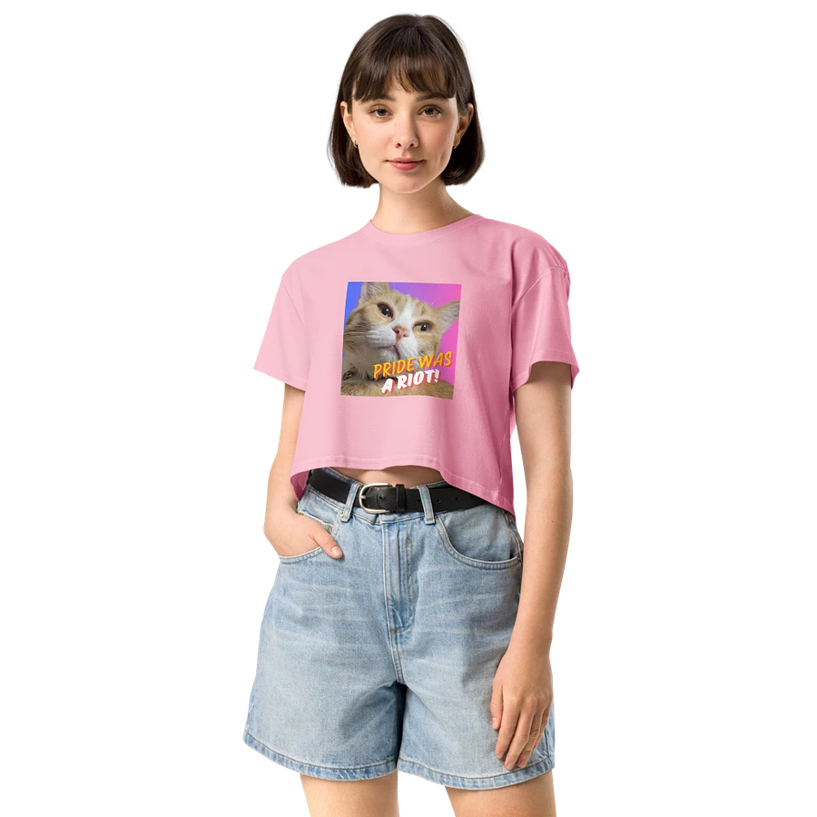 Moxie Bi-Pride Crop Top Tee product image (50)