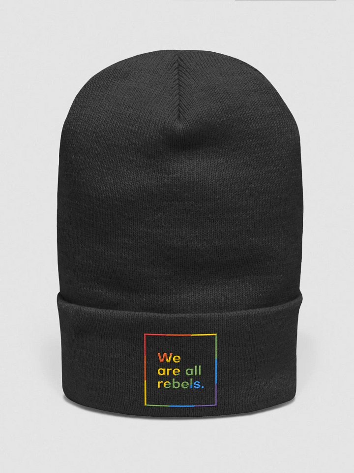 Pride Beanie (Embroidered) product image (3)