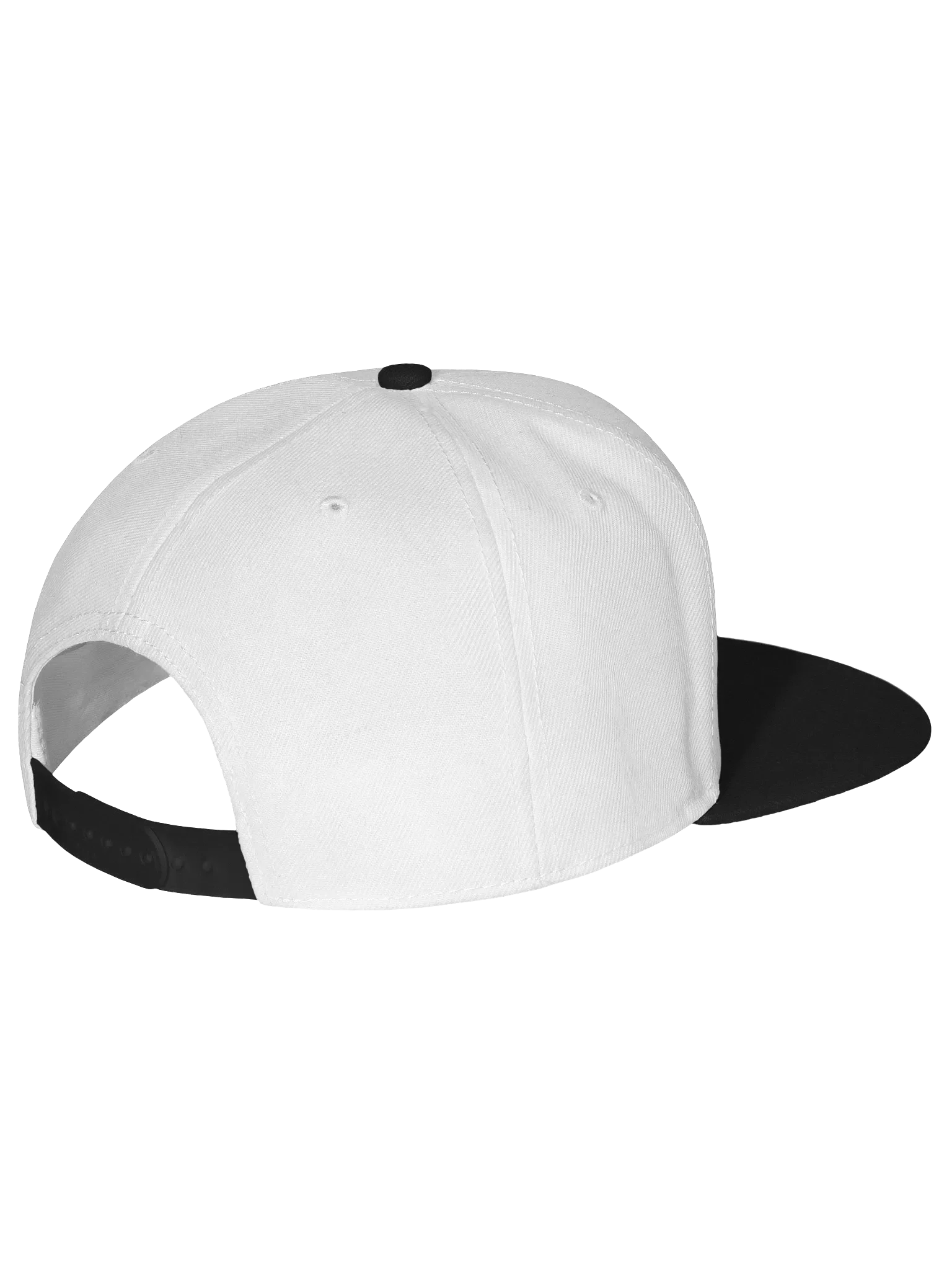 Wilderness Patch Snapback Cap product image (107)