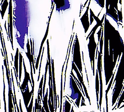 KNOW YOURSELF.

07/—/24