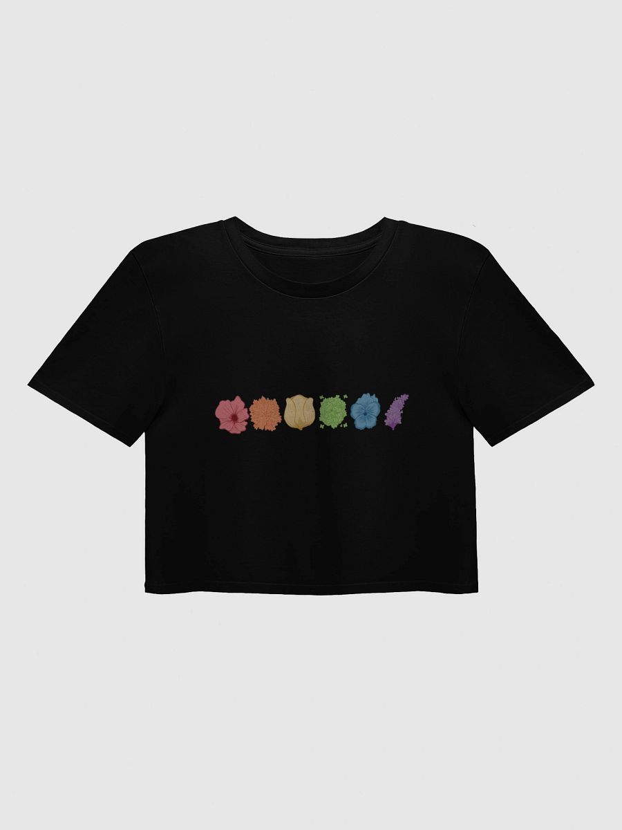 Cozy Pride Crop product image (1)