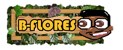 B_Flores