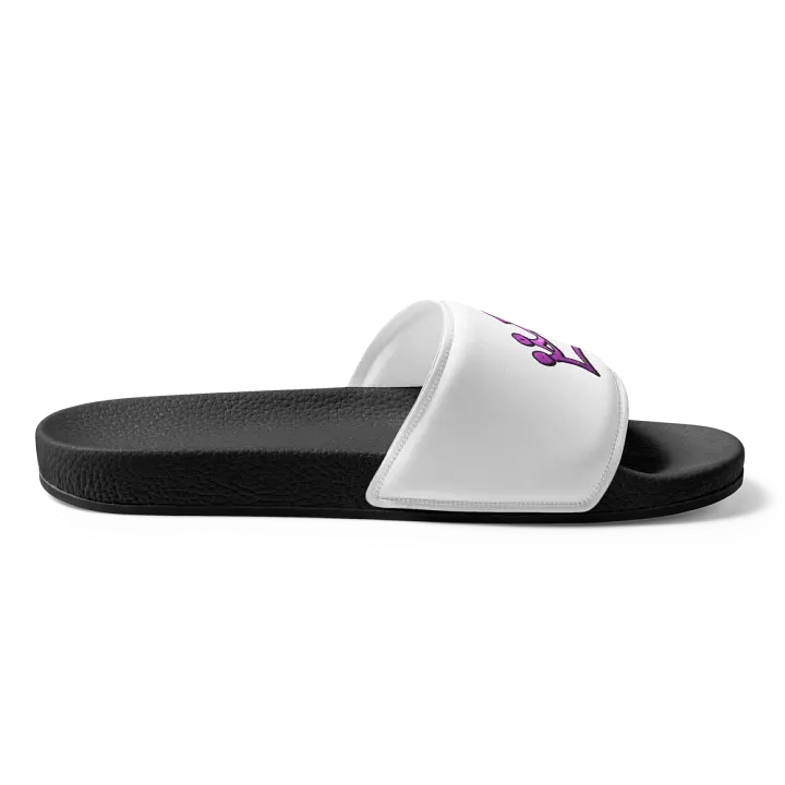 EMA Slides product image (2)