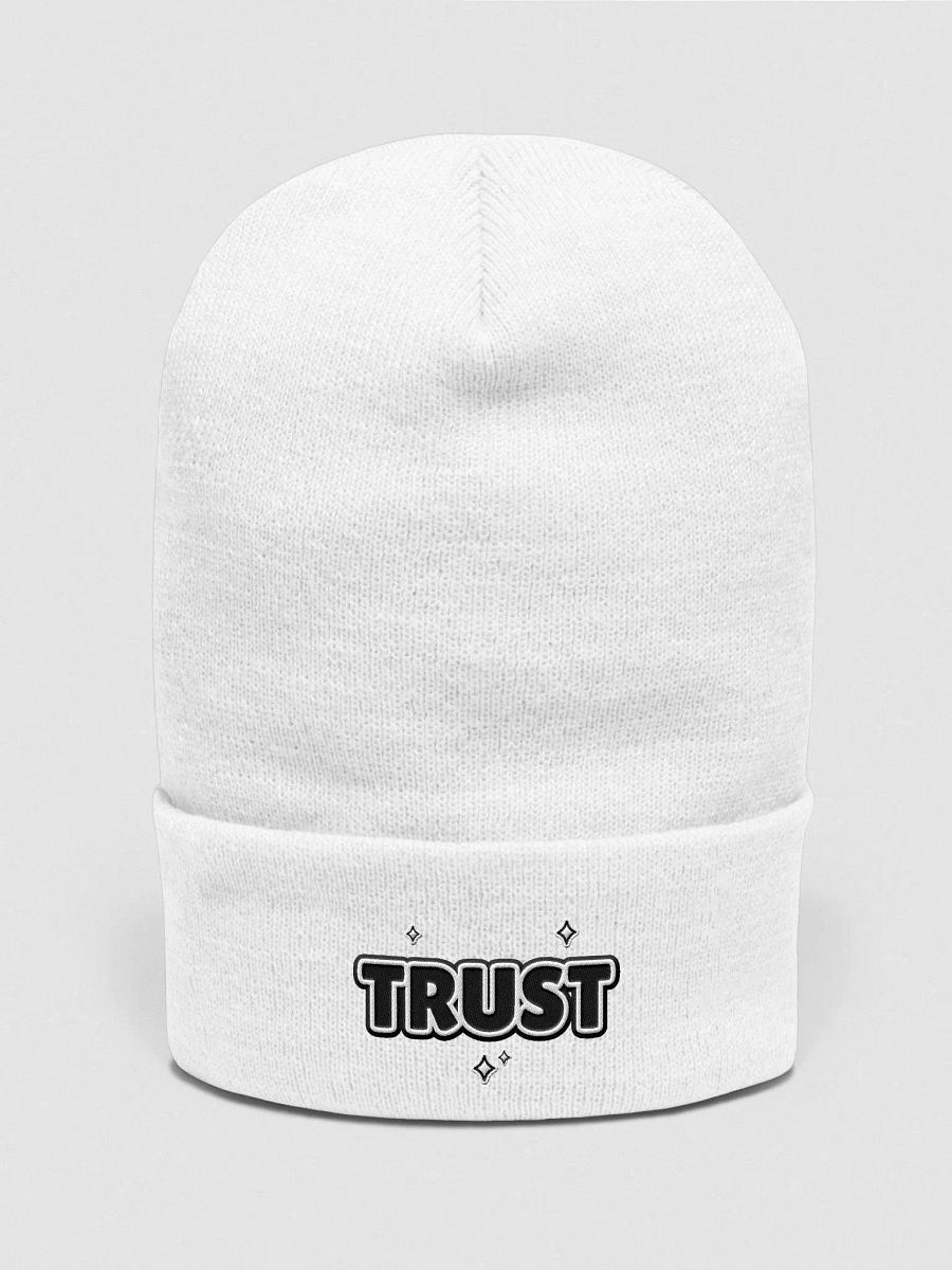 TRUST Cuffed Beanie product image (6)