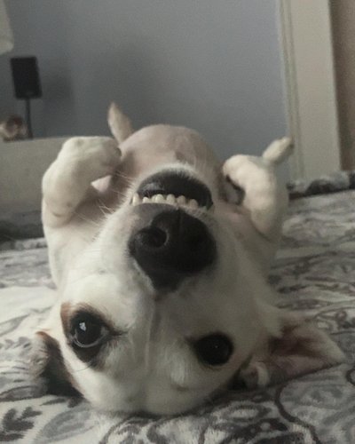 Feelin a bit Aussie 🇦🇺🦘 today