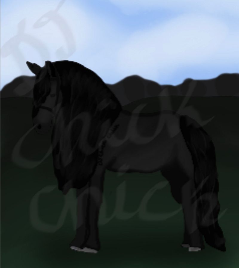 Black Friesian Horse Drawing