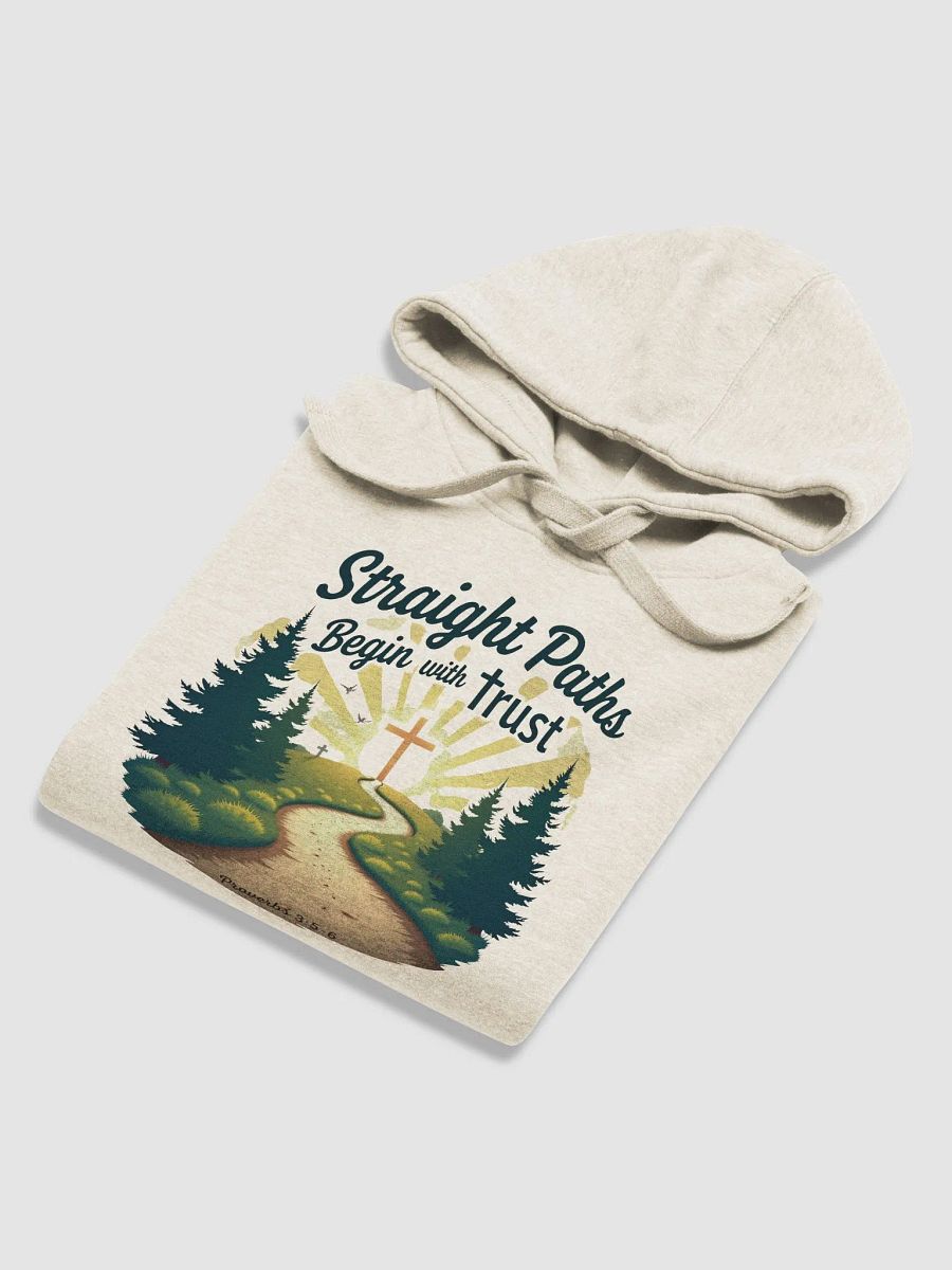 Straight Paths Hoodie product image (36)