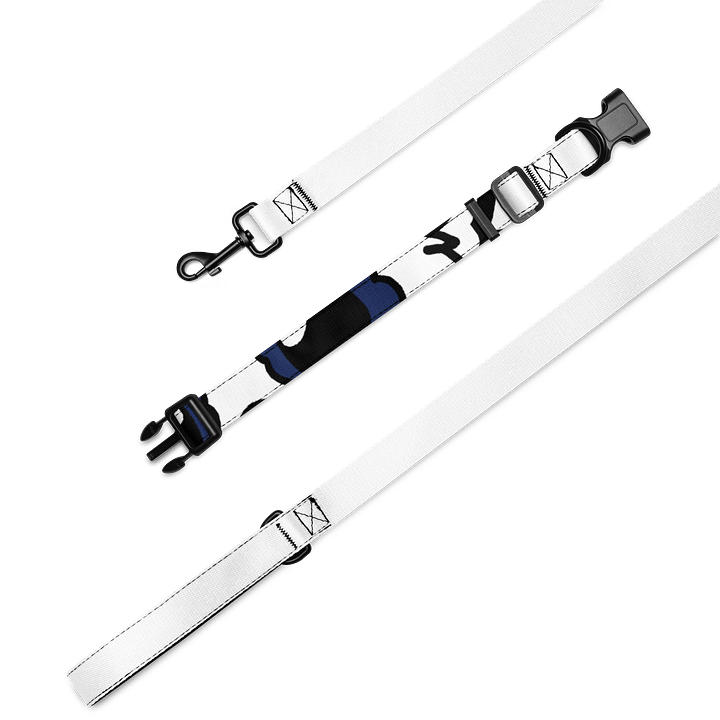 collar and leash product image (2)