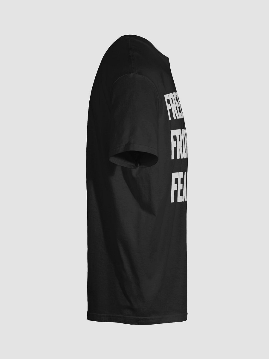 FREEDOM FROM FEAR product image (10)