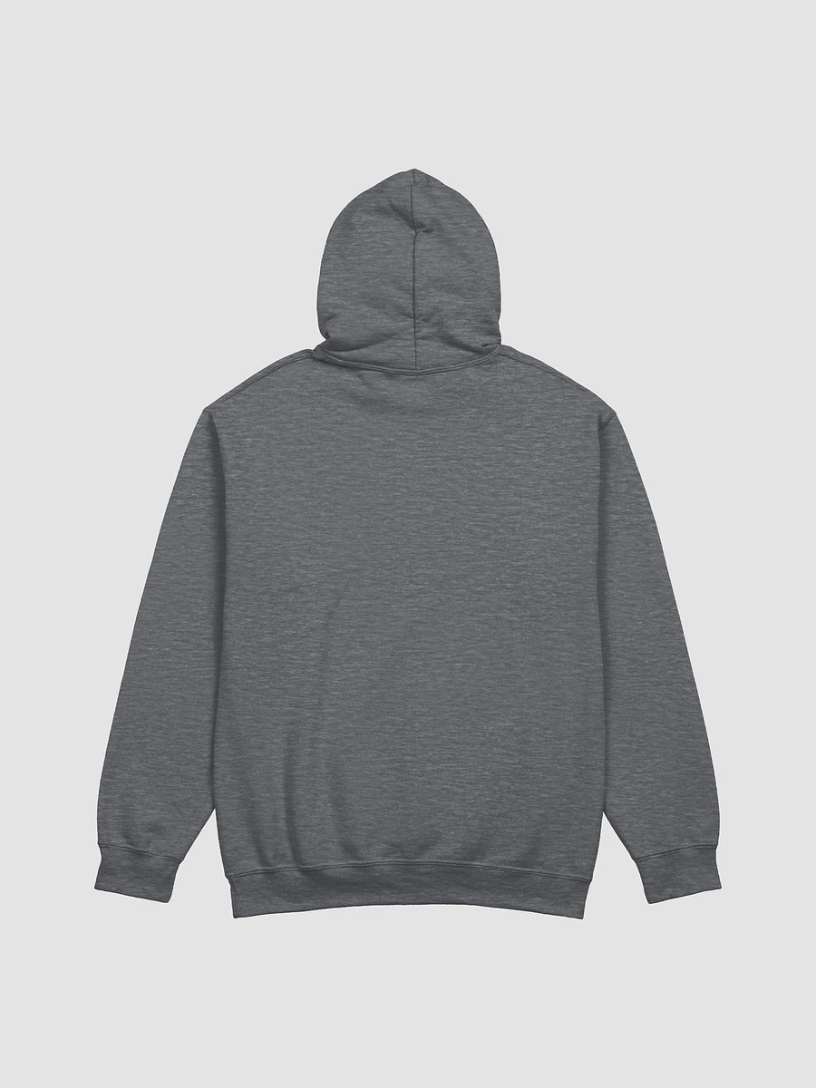 Sanctuary Ranch Hoodie product image (12)