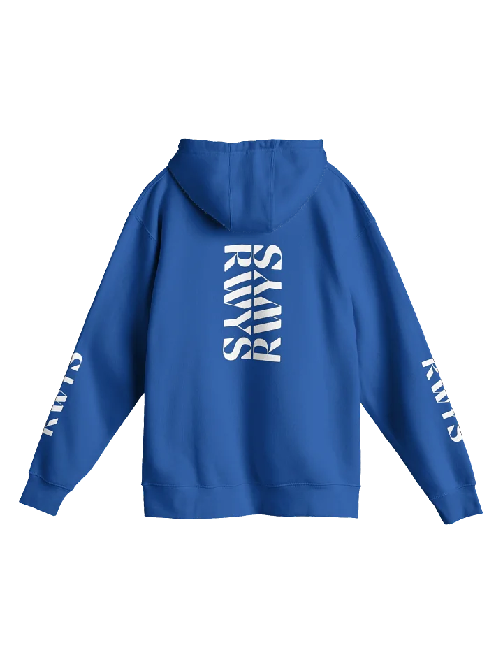 RWYS Future Vision Premium Hoodie product image (20)