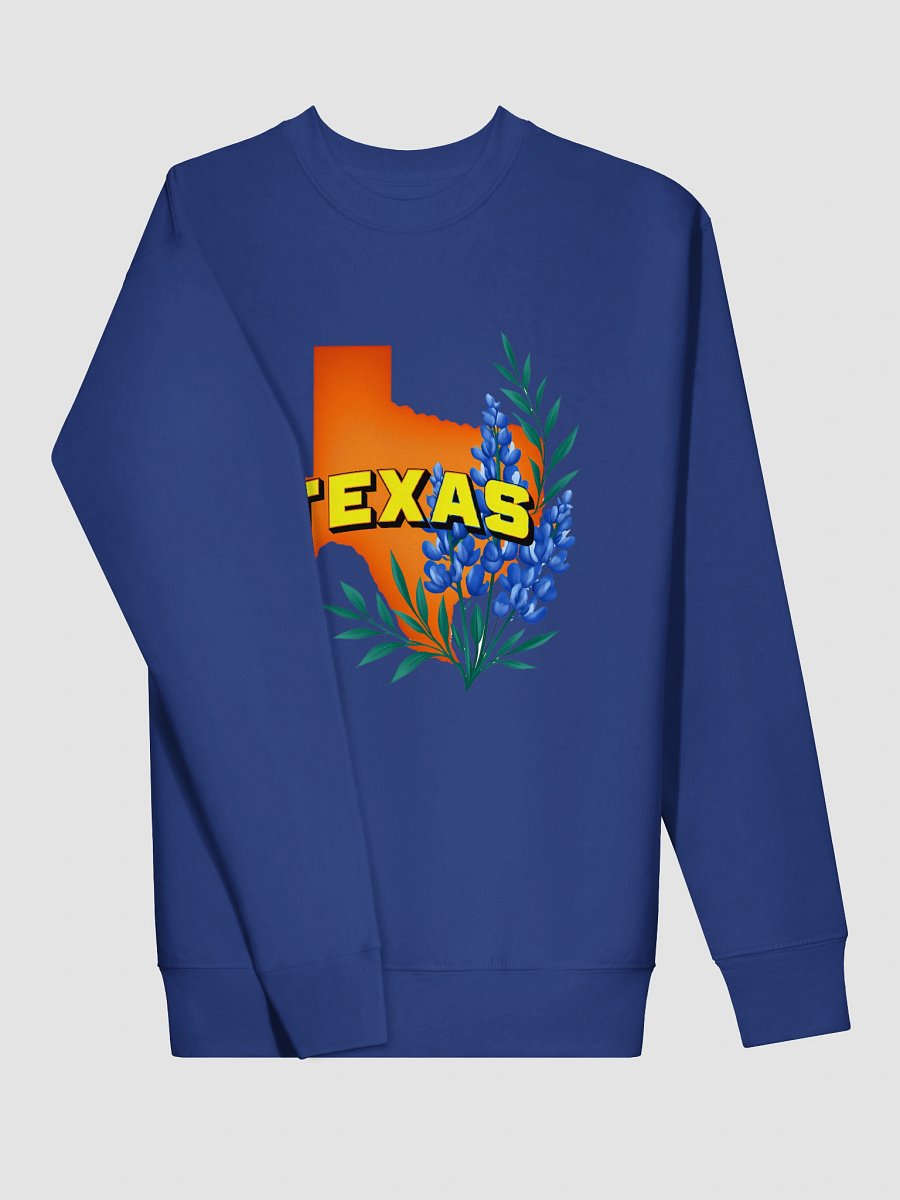 Texas Pride Premium Sweatshirt product image (3)