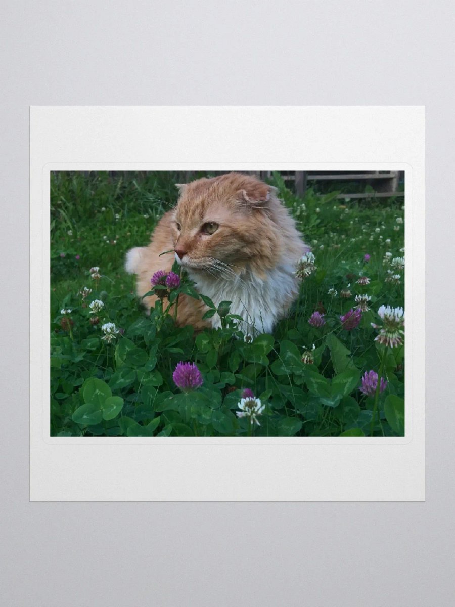 Clover Field Boy Sticker product image (1)