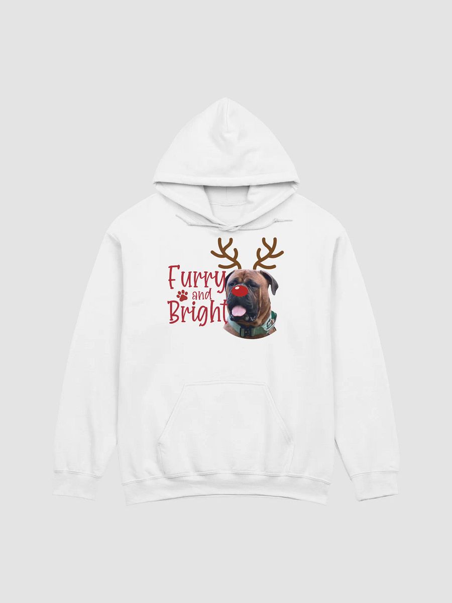 Furry and Bright Hoodie product image (93)