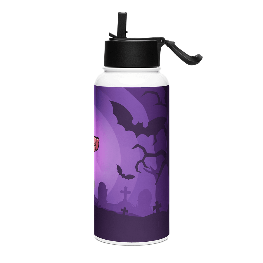 Stainless Steel Water Bottle with a Straw Lid product image (3)