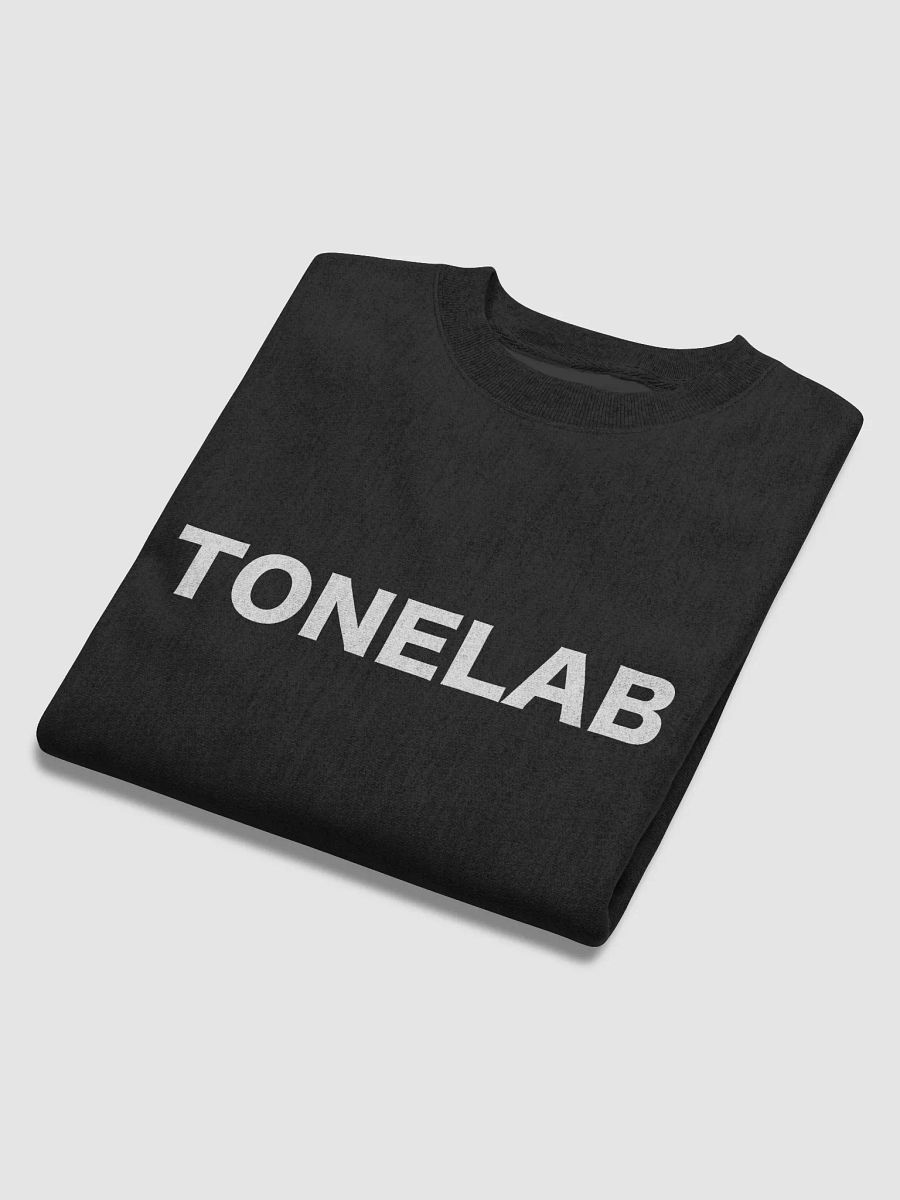 TONELAB Champion Max Sweatshirt product image (6)