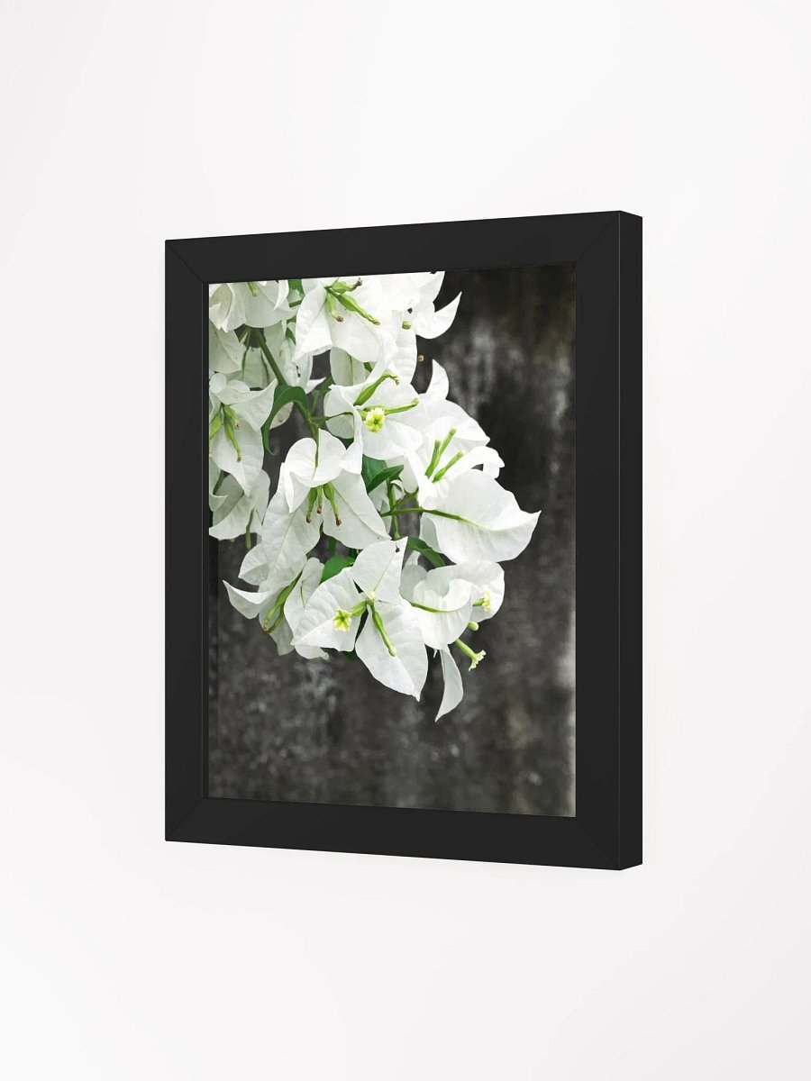 Bougainvillea - Framed art print product image (3)