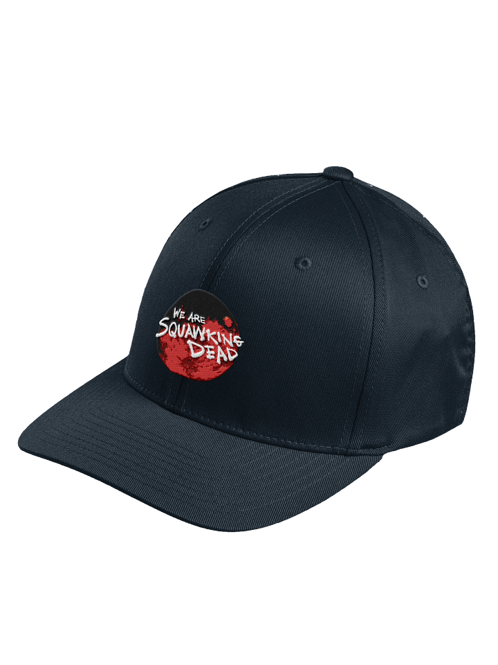 TWD 11C LOGO |Flexfit Cap product image (12)