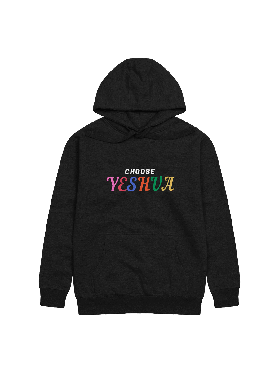 Choose Yeshua Hoodie product image (3)