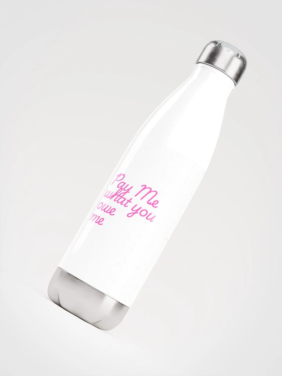 Stainless bottle product image (4)