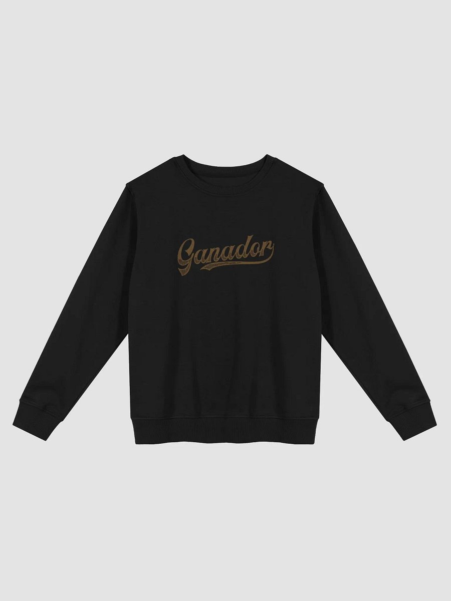 SUETER UNISEX - GANADOR - Café product image (1)