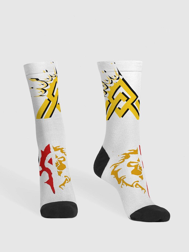 Raiding Socks product image (2)