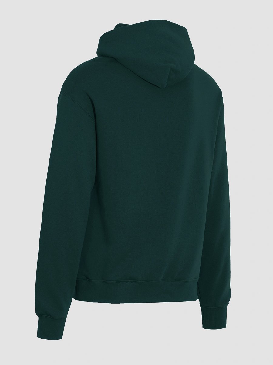 TFOT Premium Lemon Hex Oversized Hoodie product image (5)