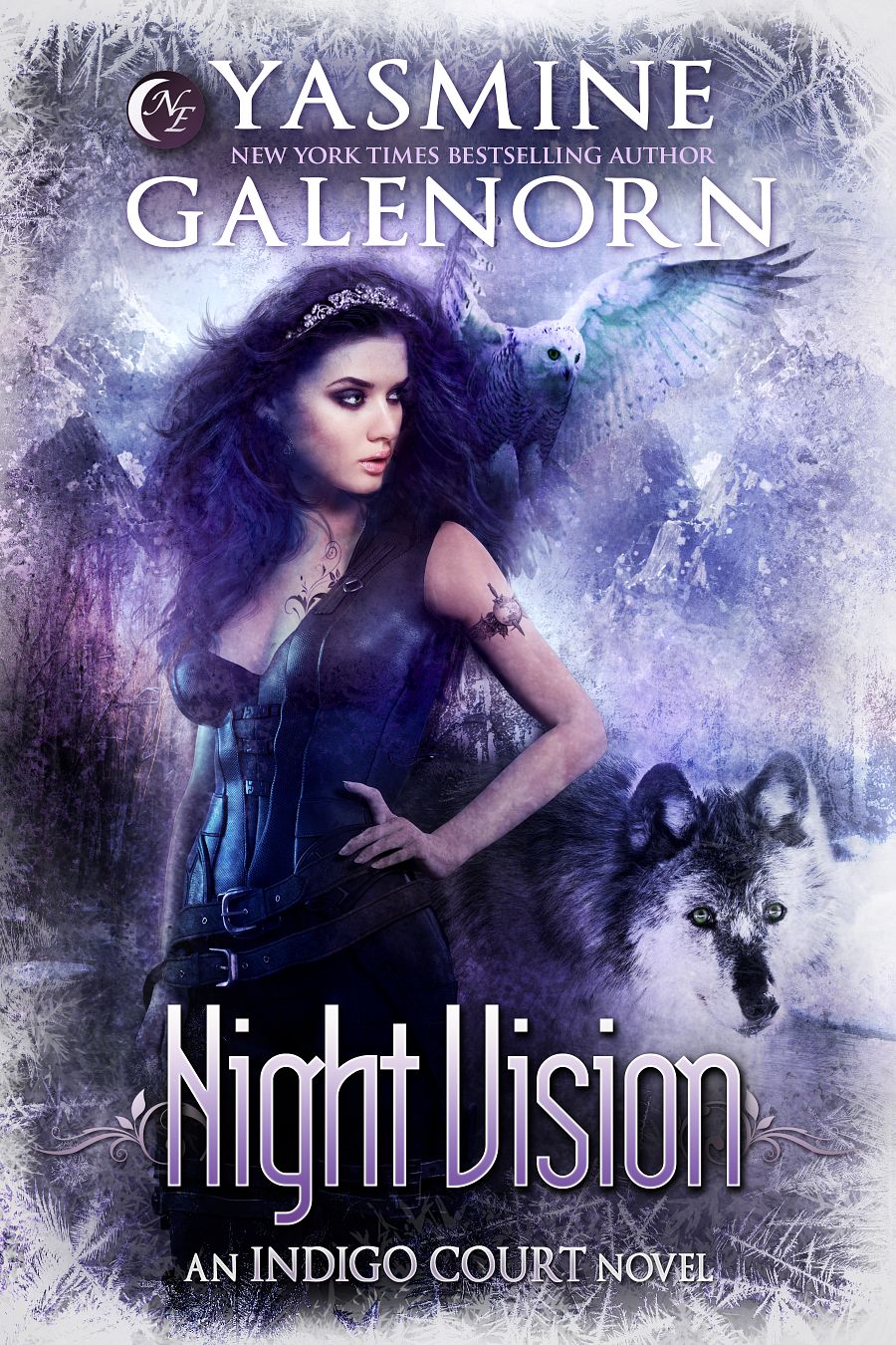 Night Vision product image (1)