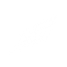 Dark Wing Racing