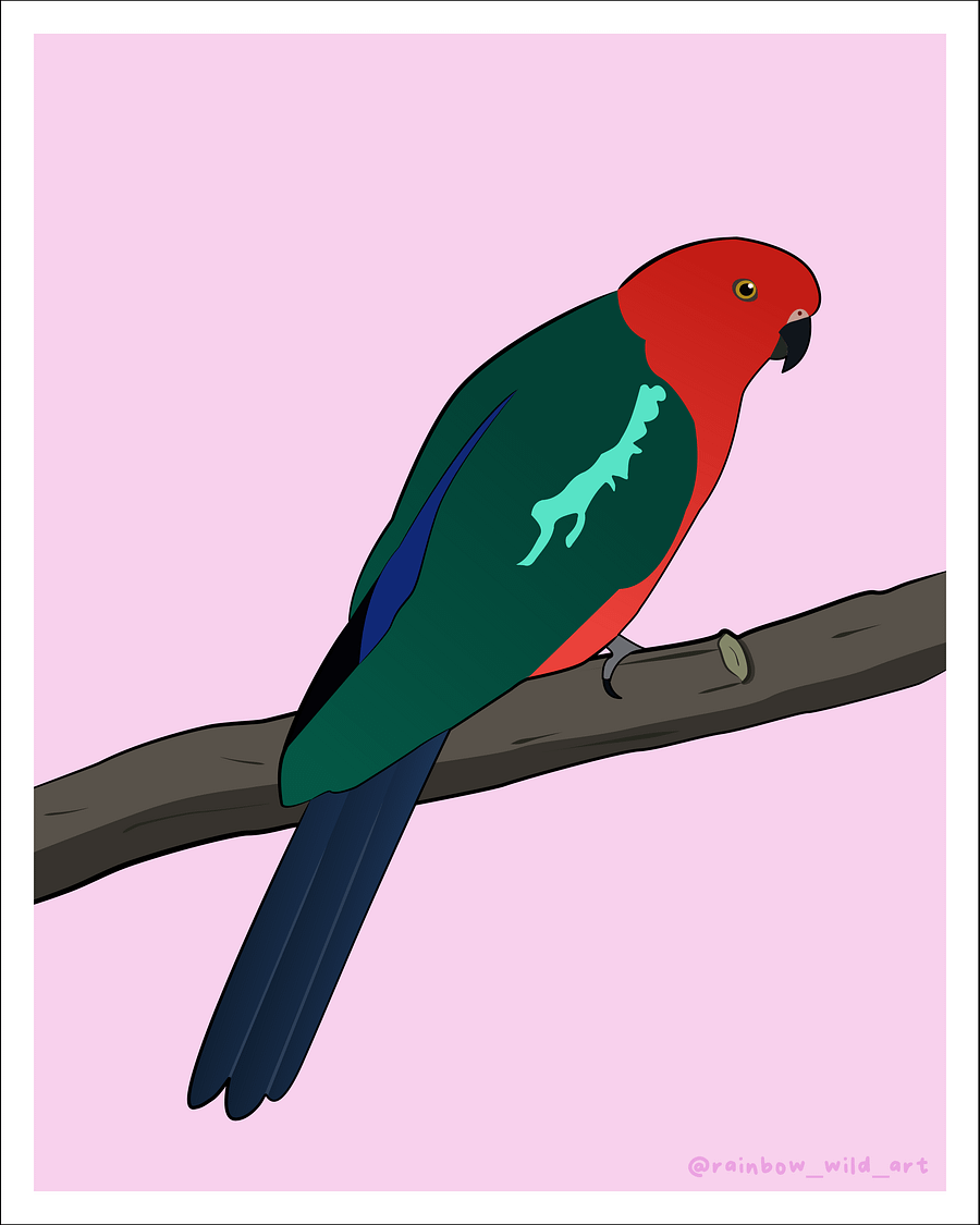 King Parrot Print (Digital Download) product image (1)