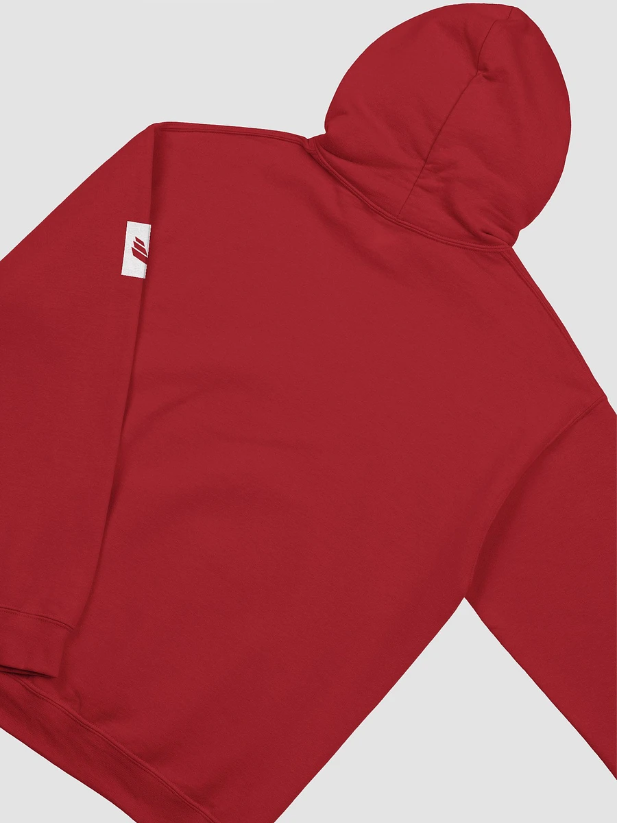 International Movement Hoodie - Red product image (4)
