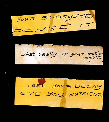 my ecosystem nourishing me

#artjournal