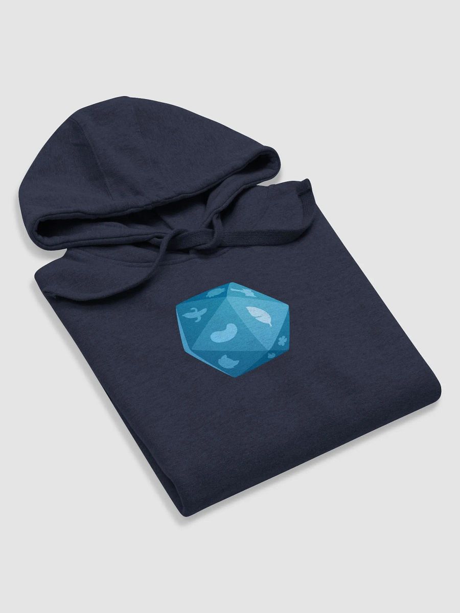 b20 - Briny Hoodie product image (6)