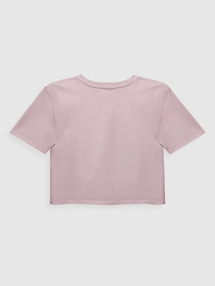 Pink Pony Crop Top product image (18)