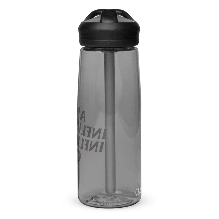 Anti Influencer Water Bottle product image (2)