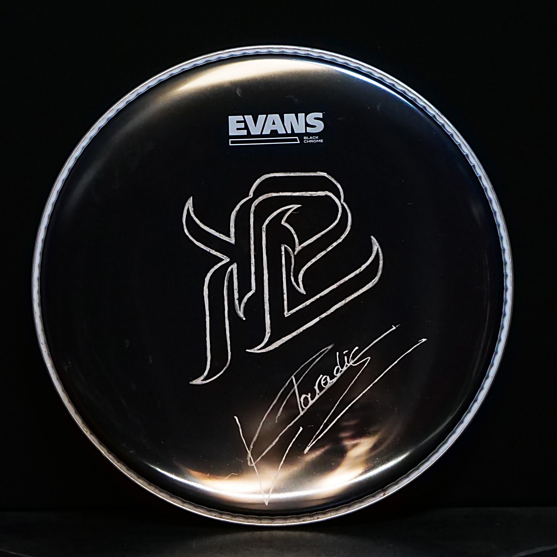 KPV logo signed drumhead 12 Grey product image (1)