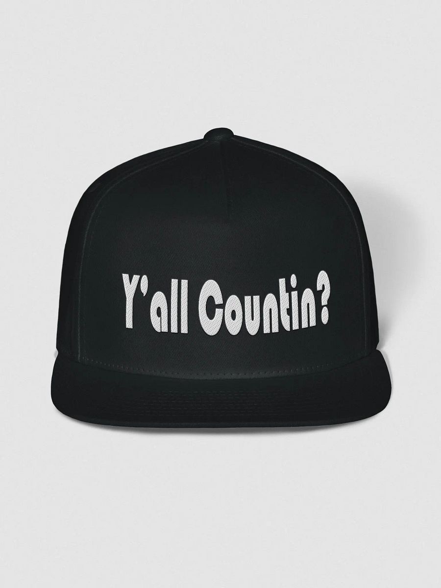 Y' all Countin? product image (2)
