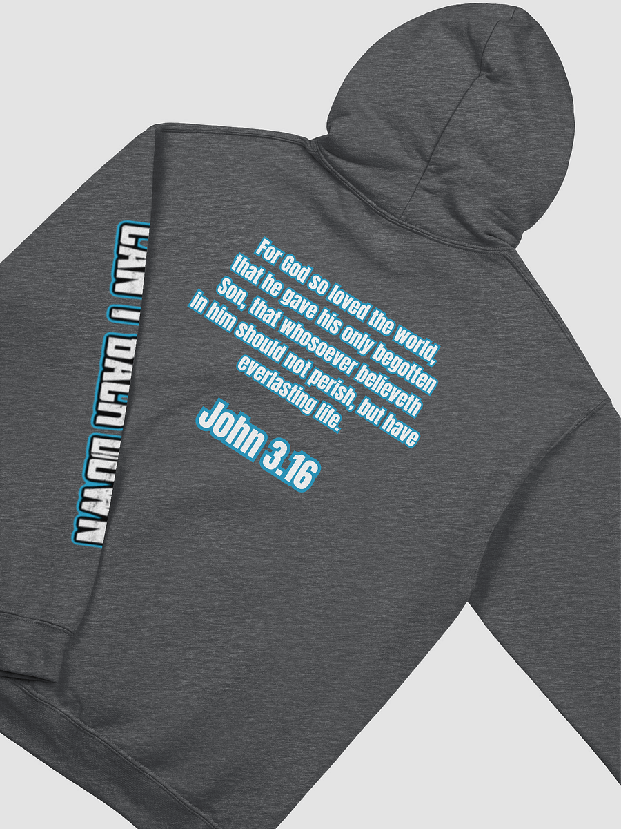 TeNN4OUR (Scripture) Hoodie (John 3:16) product image (12)