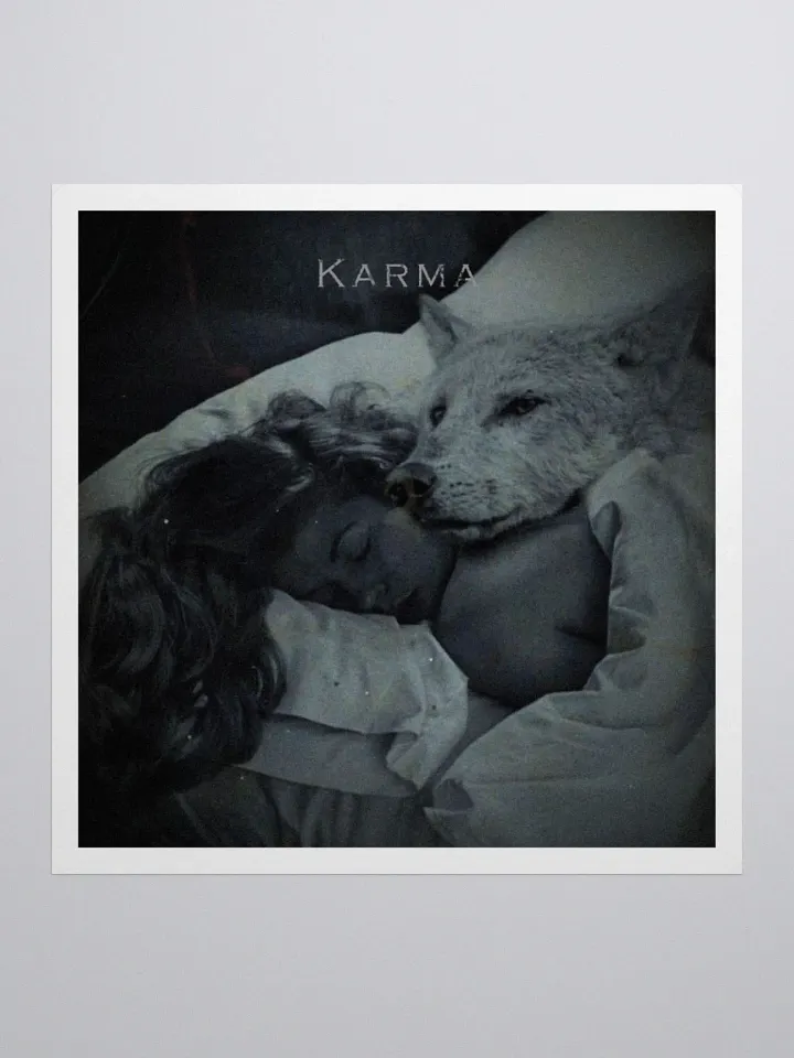 Karma XIV product image (3)
