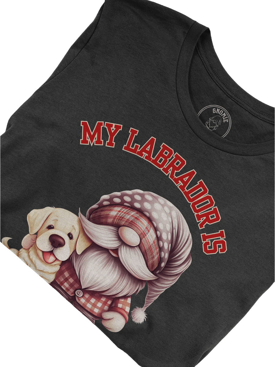 Pet Valentine - Labrador product image (18)