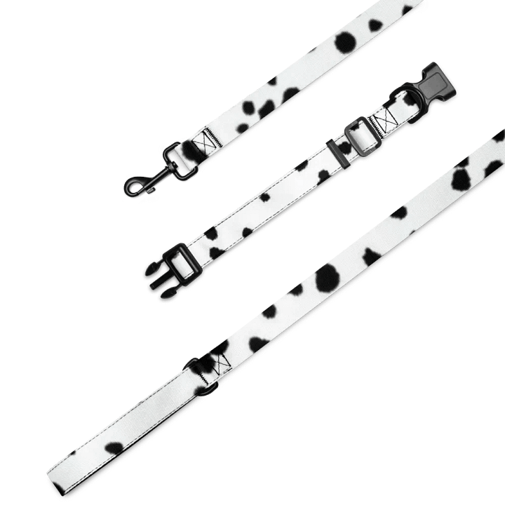 Dalmatian Dream Pet Collar & Leash Set product image (2)