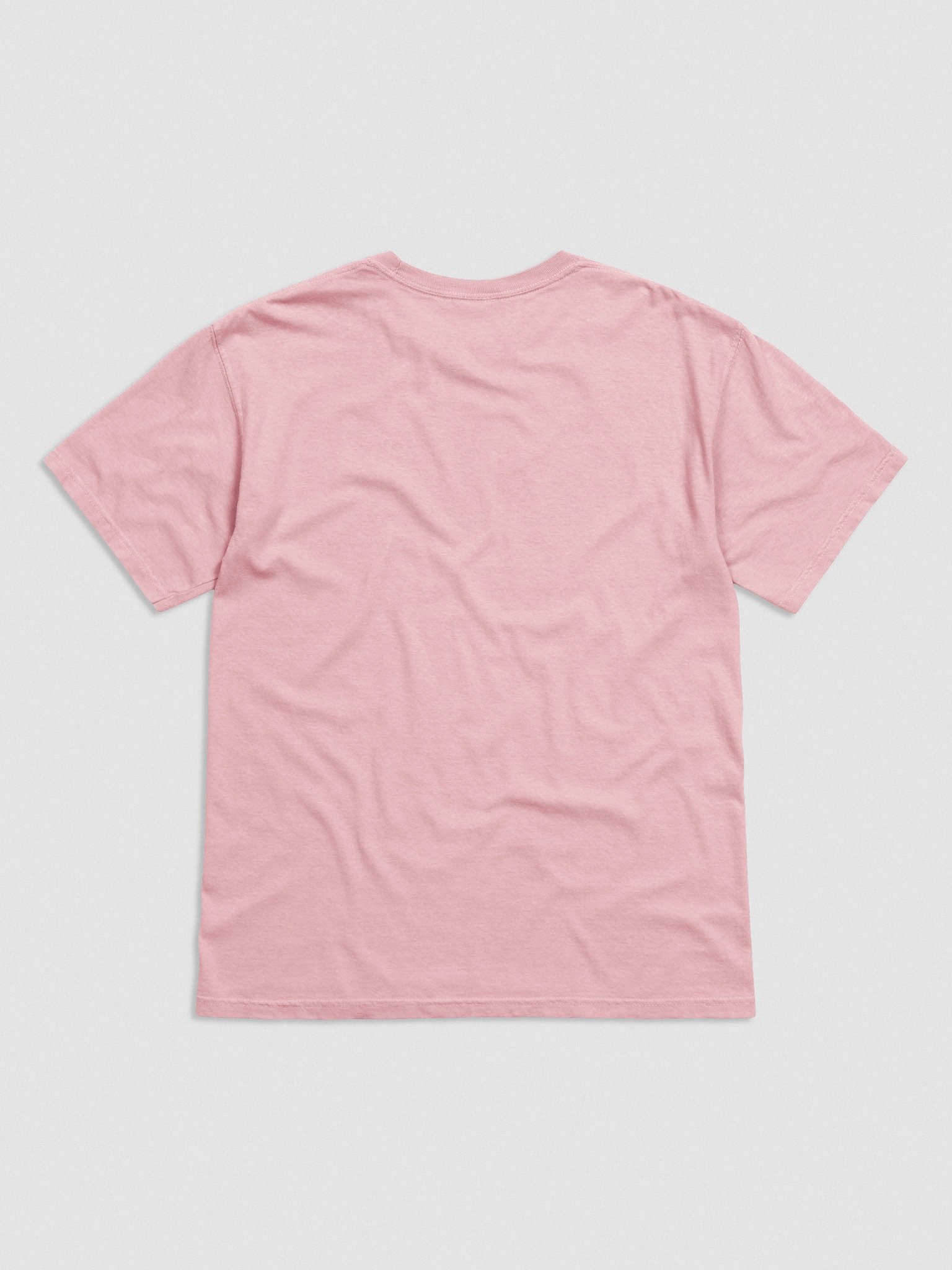 No Hair, Don't Care T-Shirt(Embroidered) of an American Hairless Terrier(Gray) product image (5)