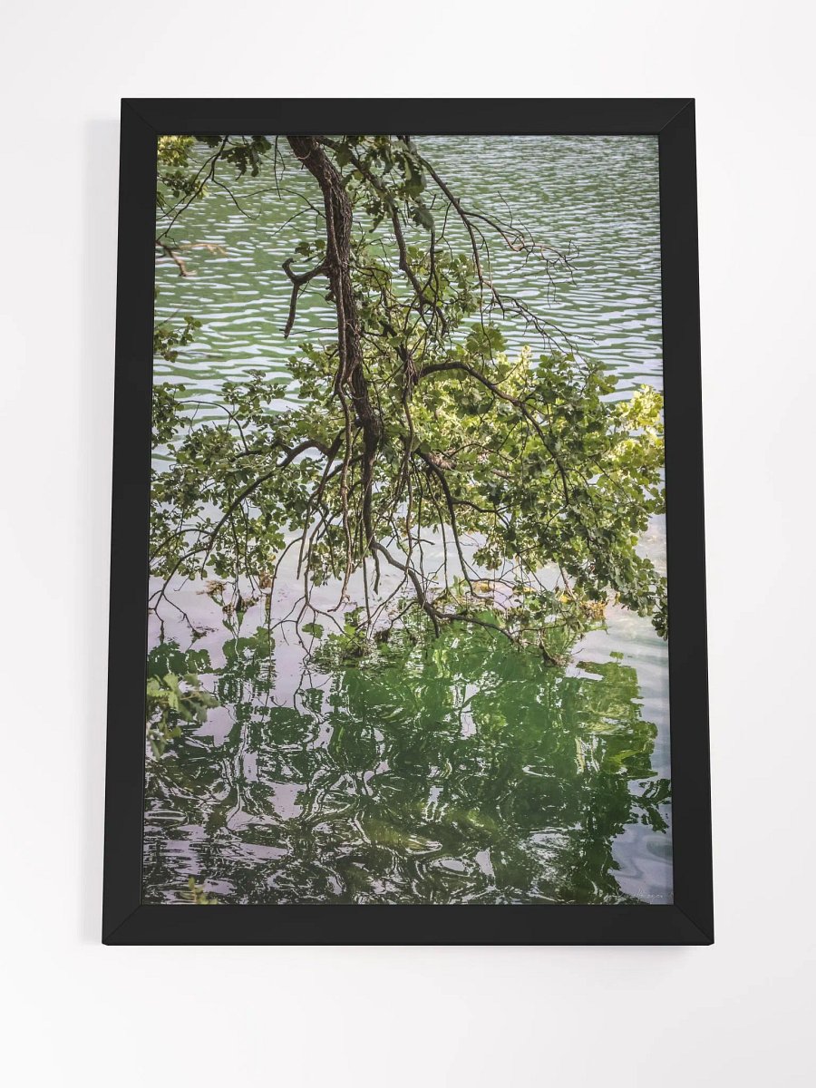 Print Fine Art - Reflections of Serenity - Lac de Carcès, France product image (8)