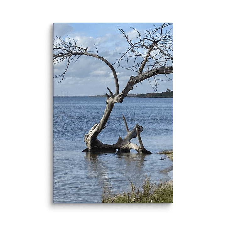 Serenity's Edge Canvas product image (2)