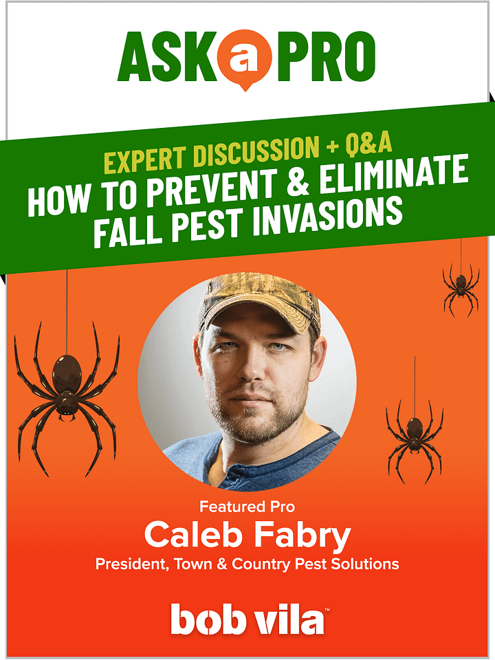 How to Prevent & Eliminate Fall Pest Invasions product image (1)