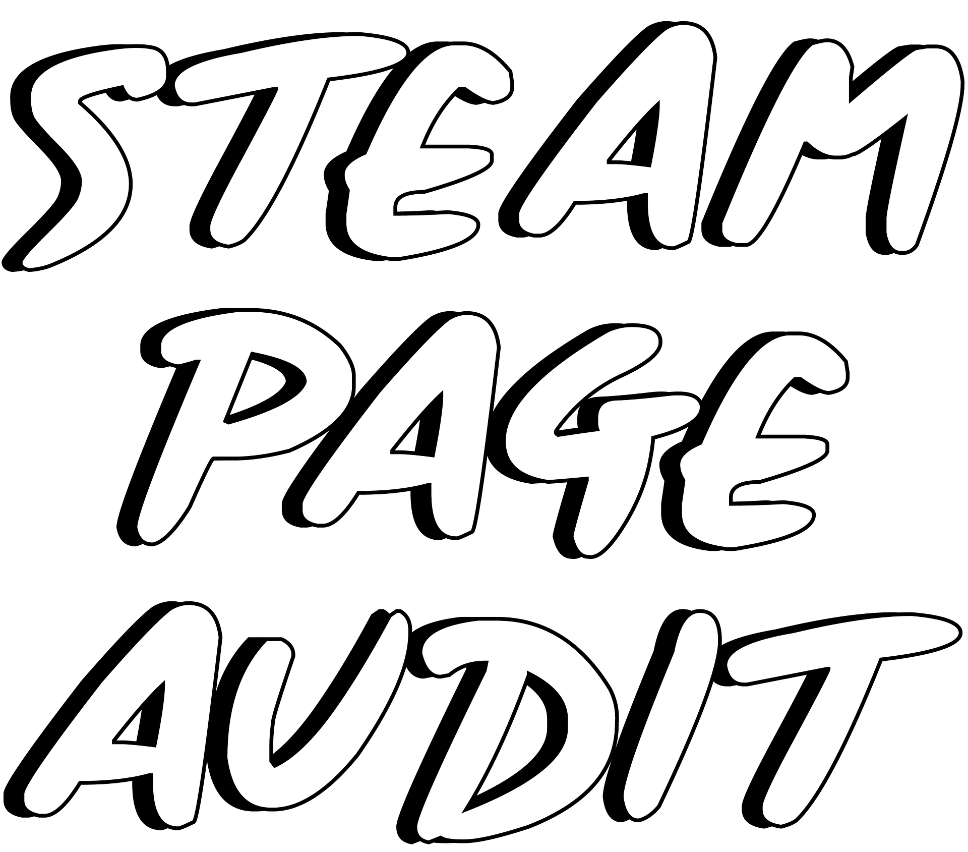 Steam Page Audit product image (1)