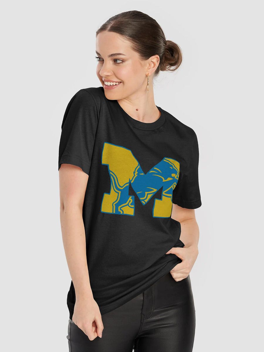 Michigan Lions Premium product image (5)
