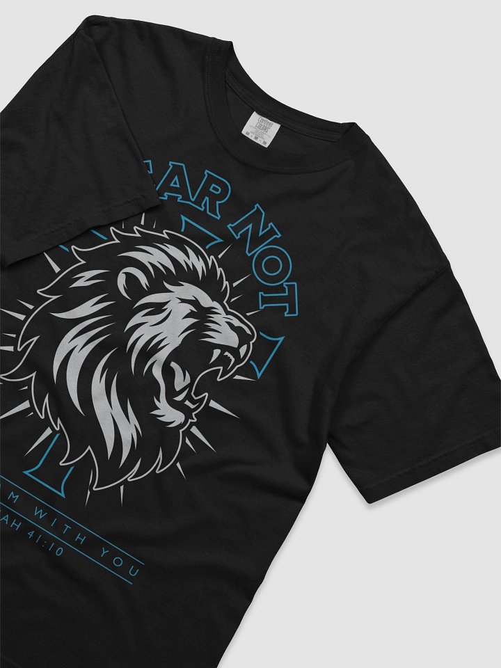 Fear Not product image (2)